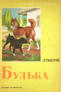 Обложка книги «Булька»