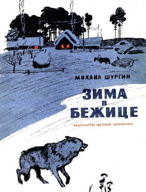 Обложка книги «Зима в Бежице»