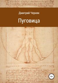 Обложка книги «Пуговица»