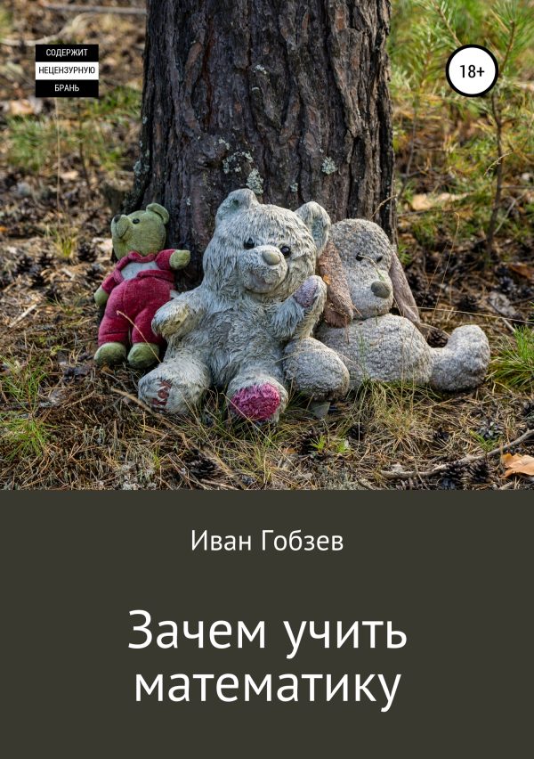 Обложка книги «Зачем учить математику»