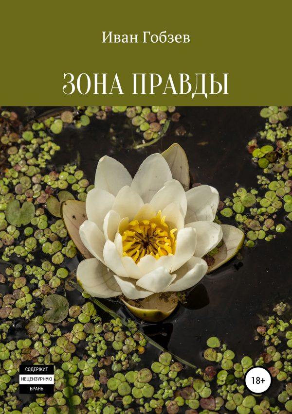 Обложка книги «Зона Правды»