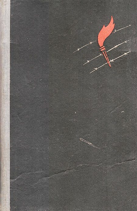 Обложка книги «Этого забыть нельзя. Воспоминания бывшего военнопленного»