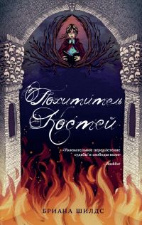 Обложка книги «Похититель костей»