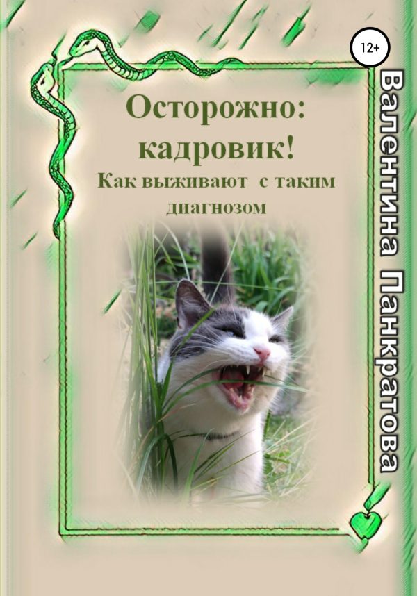Обложка книги «Осторожно: кадровик! Как выживают с таким диагнозом»