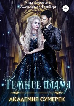 Обложка книги «Академия сумерек. Темное пламя»