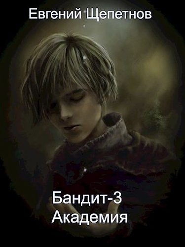 Обложка книги «Академия»