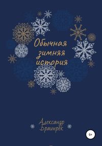Обложка книги «Обычная зимняя история»