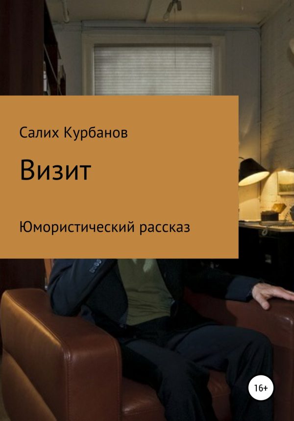 Обложка книги «Визит»