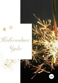 Обложка книги «Новогоднее чудо»