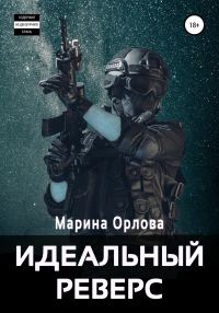 Обложка книги «Идеальный реверс»