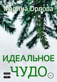 Обложка книги «Идеальное чудо»