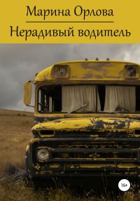 Обложка книги «Нерадивый водитель»