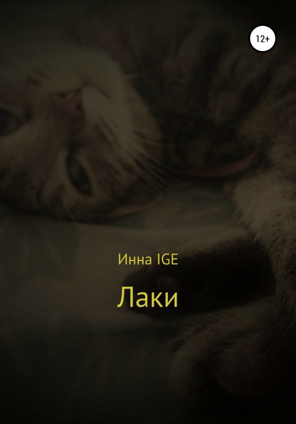 Обложка книги «Лаки»