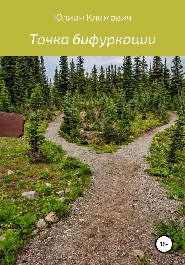 Обложка книги «Точка бифуркации»