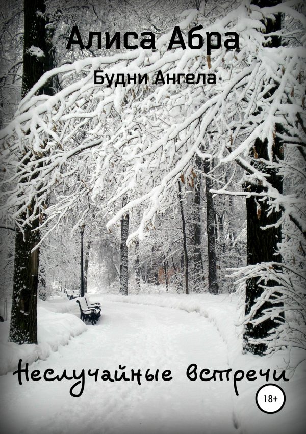 Обложка книги «Неслучайные встречи»