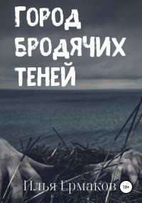 Обложка книги «Город бродячих теней»