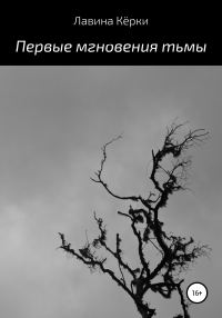 Обложка книги «Первые мгновения тьмы»