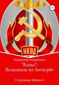 Обложка книги ««Вдова»: полковник из Аненербе»