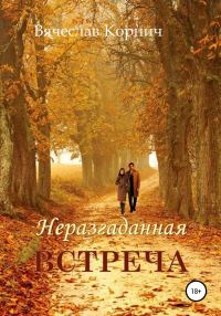 Обложка книги «Неразгаданная встреча»