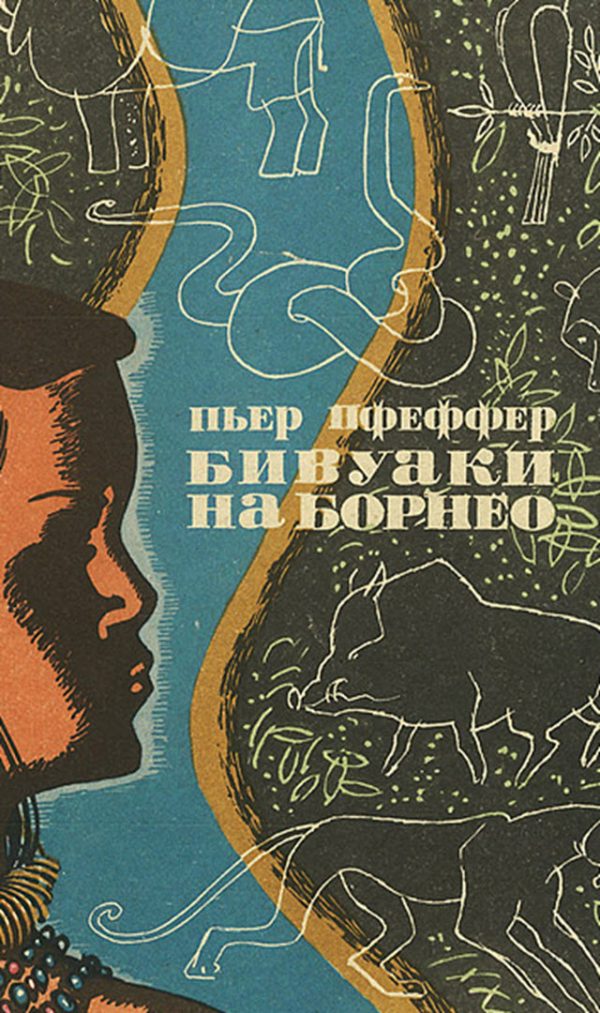 Обложка книги «Бивуаки на Борнео»