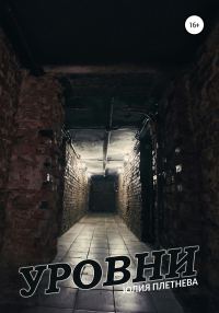 Обложка книги «Уровни»