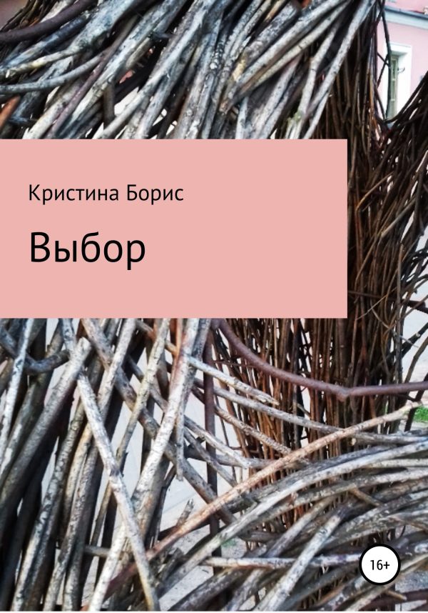 Обложка книги «Выбор Майка»