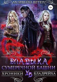 Обложка книги «Владыка сумеречной башни»