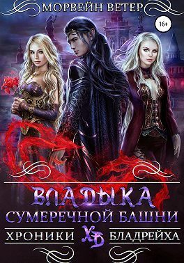 Обложка книги «Владыка сумеречной башни»