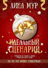 Обложка книги «Идеальный сценарий»