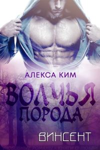 Обложка книги «Винсент»