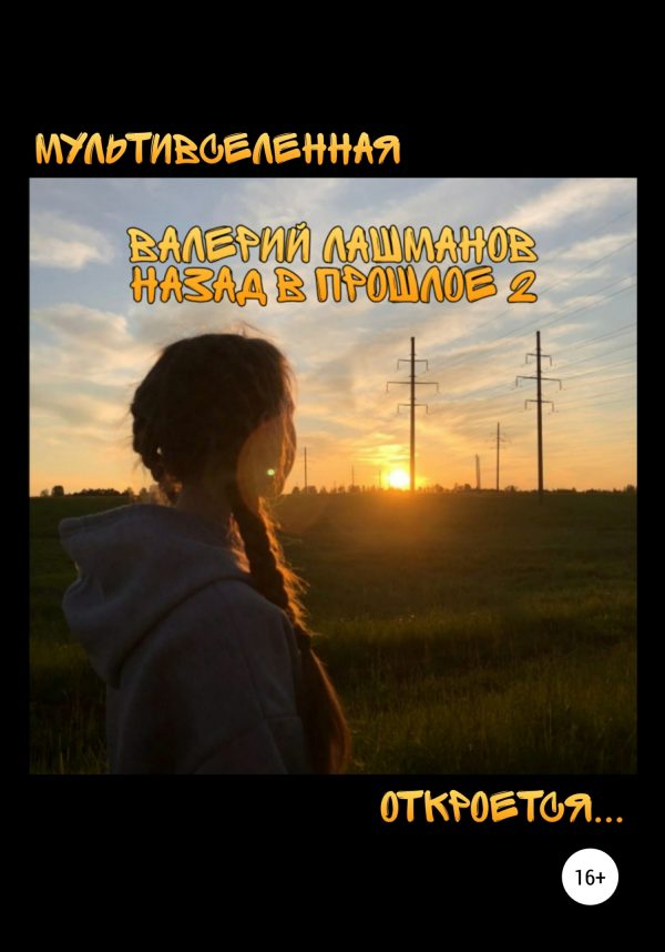 Обложка книги «Назад в прошлое 2»