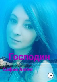 Обложка книги «Господин»