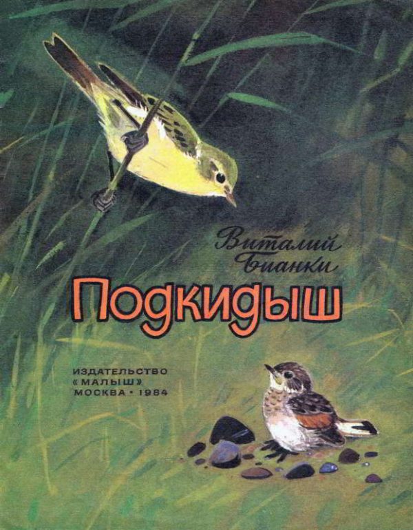 Обложка книги «Подкидыш»