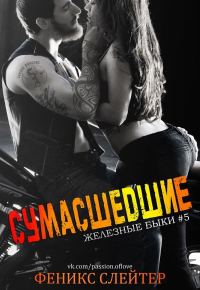 Обложка книги «Сумасшедшие»