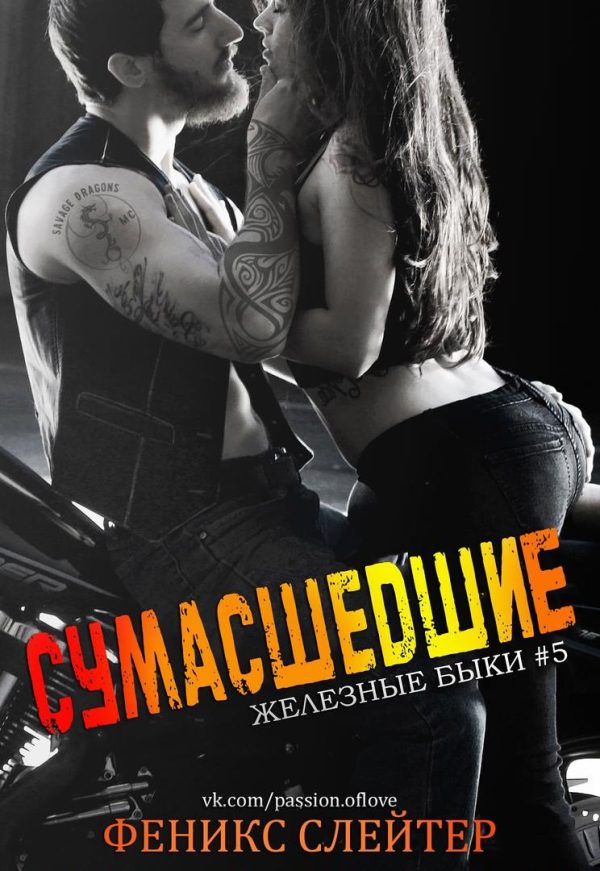 Обложка книги «Сумасшедшие»