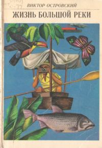 Обложка книги «Жизнь Большой Реки»