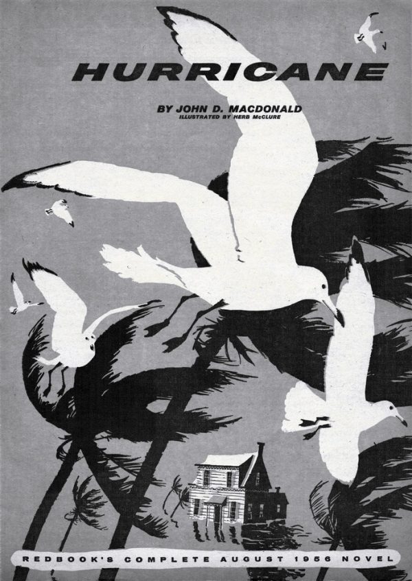 Обложка книги «Hurricane»