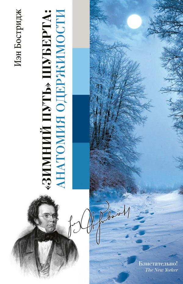 Обложка книги ««Зимний путь» Шуберта: анатомия одержимости»