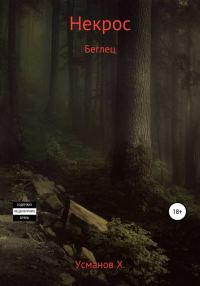 Обложка книги «Беглец»