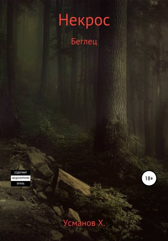 Обложка книги «Беглец»
