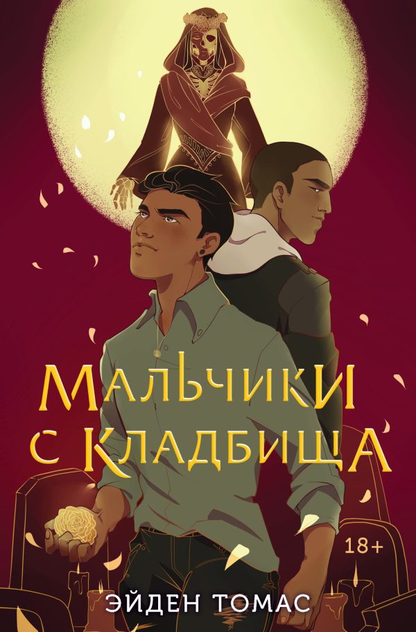 Обложка книги «Мальчики с кладбища»
