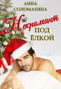 Обложка книги «Некромант под елкой»