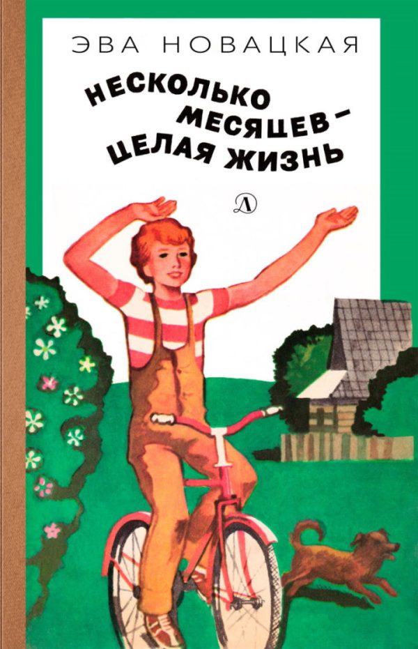 Обложка книги «Несколько месяцев — целая жизнь»
