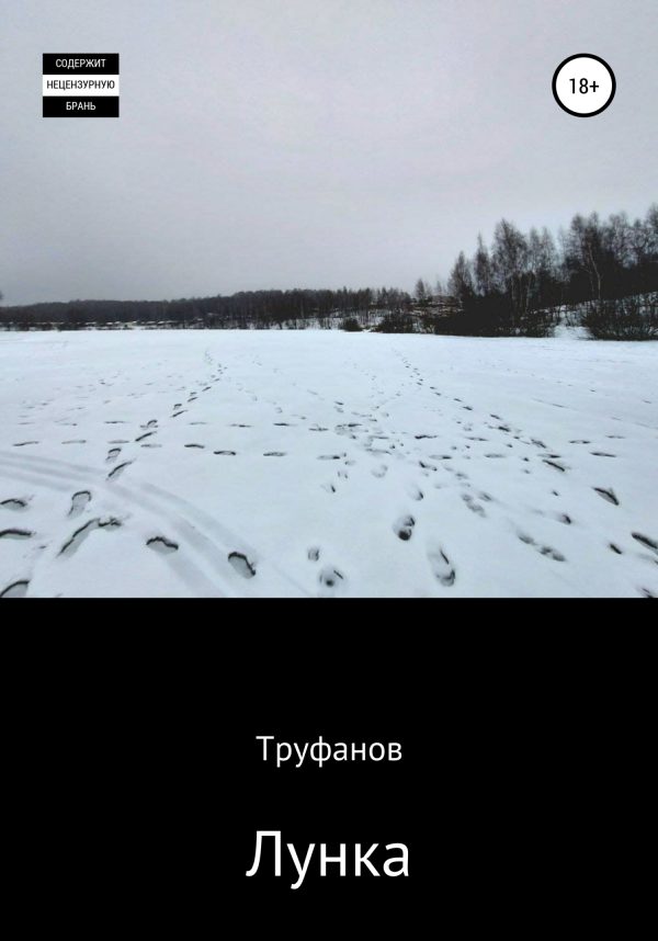Обложка книги «Лунка»
