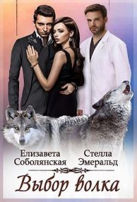 Обложка книги «Выбор волка»