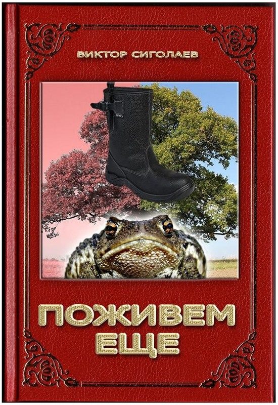 Обложка книги «Поживём ещё»