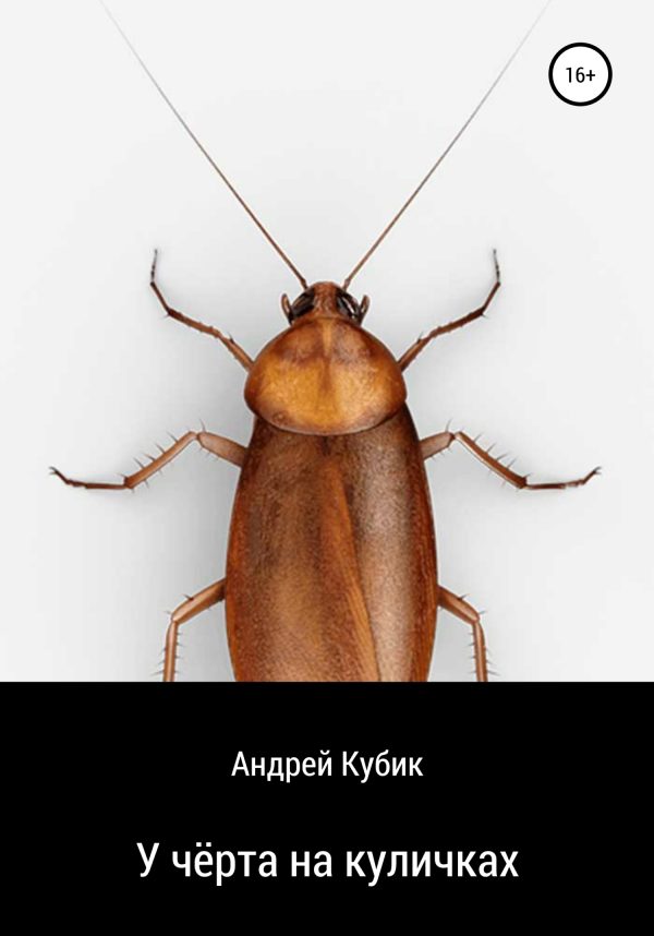 Обложка книги «У чёрта на куличках»