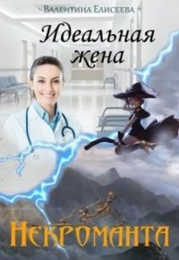 Обложка книги «Идеальная жена некроманта»