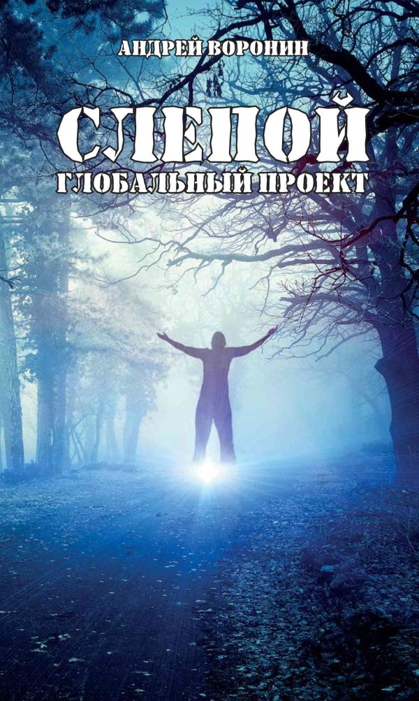 Обложка книги «Глобальный проект»