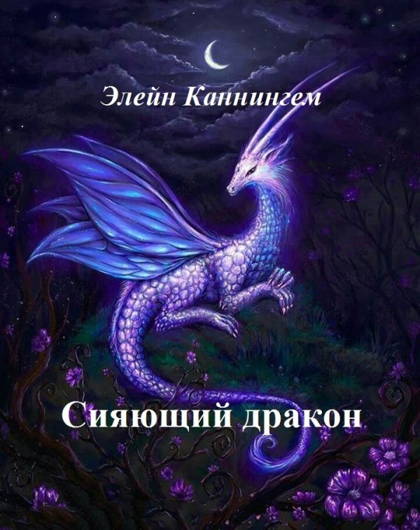 Обложка книги «Сияющий дракон»
